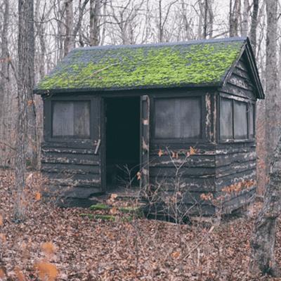 Shed Removal