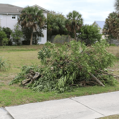 Yard Debris Removal