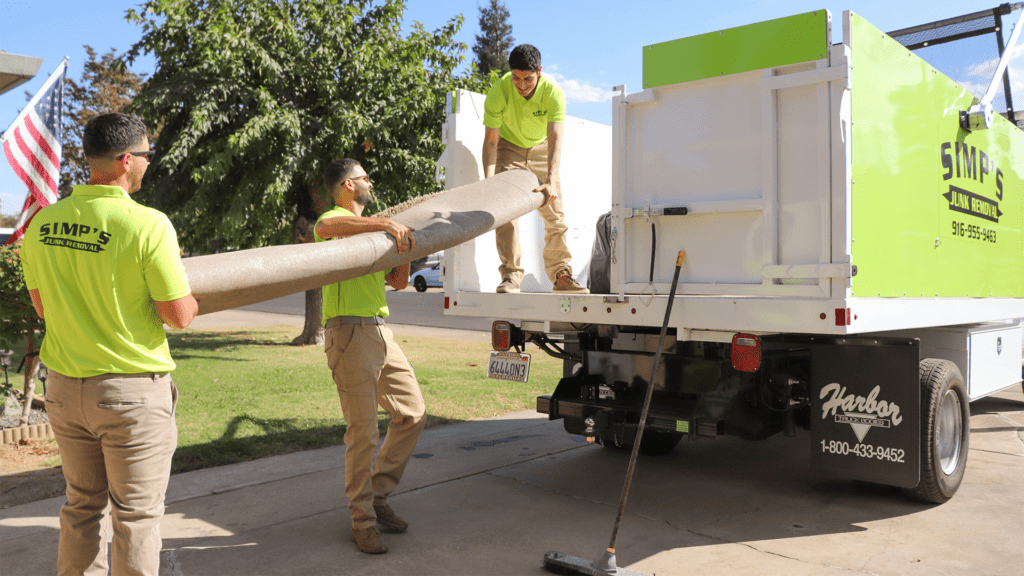 Shed Removal