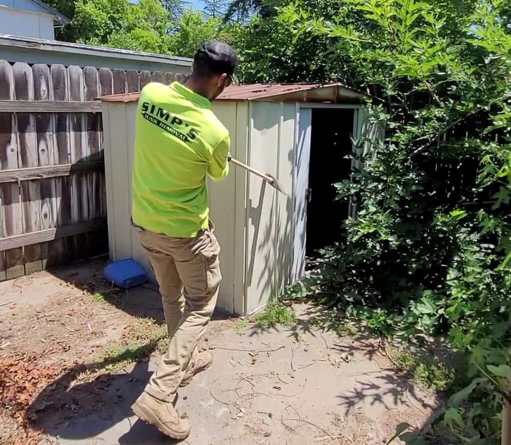 Shed Demolition